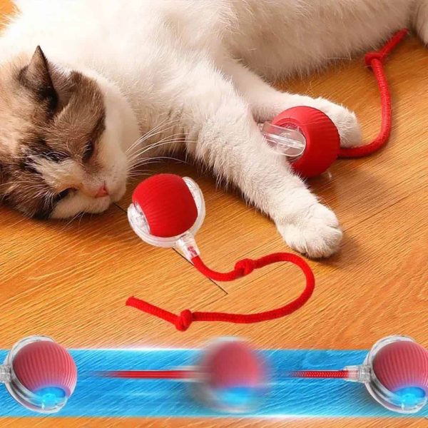 RollBall, hračka s míčem a vodítkem pro domácí mazlíčky