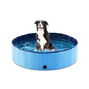 PawlyPool, skládací bazén pro děti a domácí mazlíčky