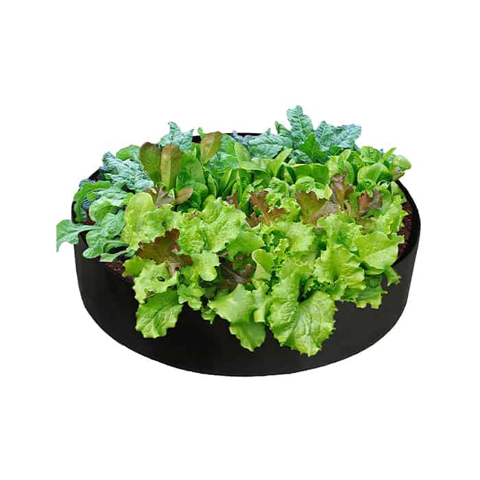 Zahradní kultivační vak, GardenGrowBag