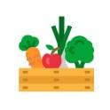 Zahradní kultivační vak, GardenGrowBag
